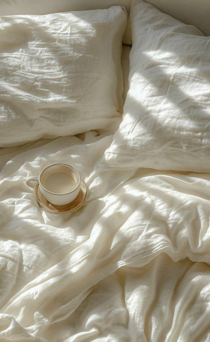 Careers at The Wellness Standard